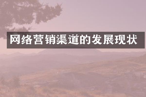 网络营销渠道的发展现状