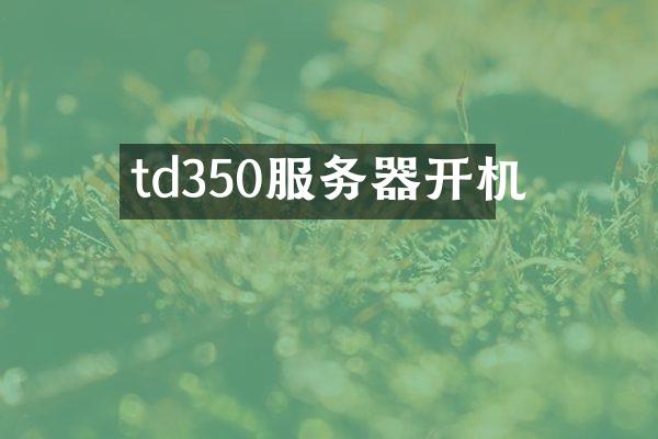 td350服务器开机