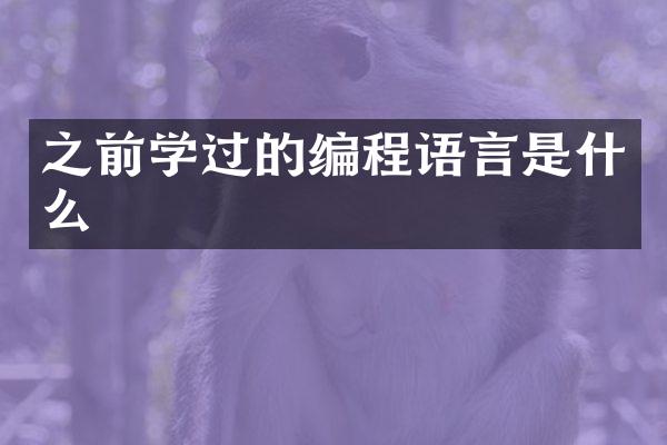 之前学过的编程语言是什么