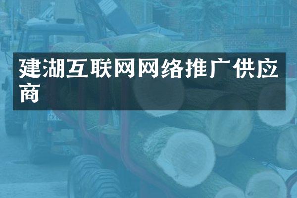 建湖互联网网络推广供应商