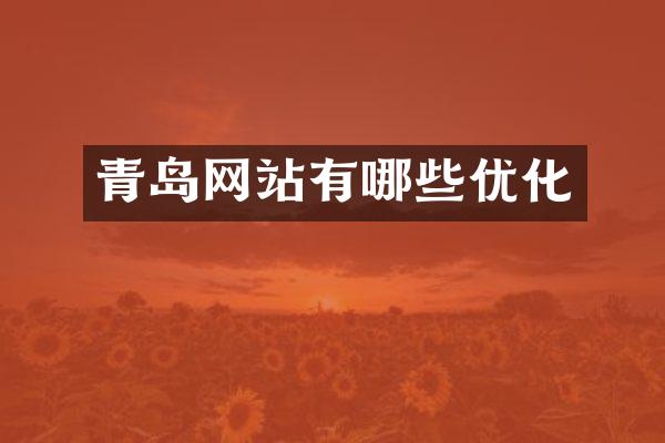青岛网站有哪些优化
