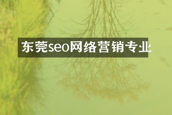 东莞seo网络营销专业