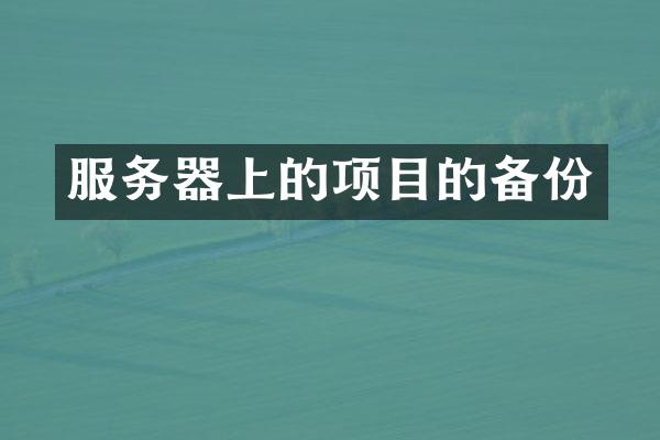 服务器上的项目的备份