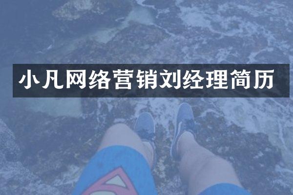 小凡网络营销刘经理简历