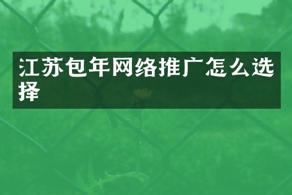 江苏包年网络推广怎么选择