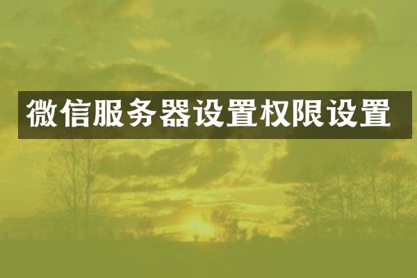 微信服务器设置权限设置