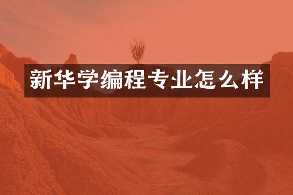 新华学编程专业怎么样