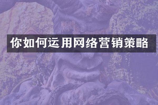 你如何运用网络营销策略