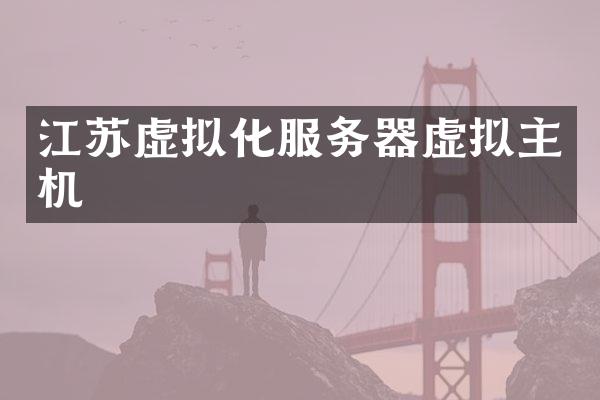 江苏虚拟化服务器虚拟主机