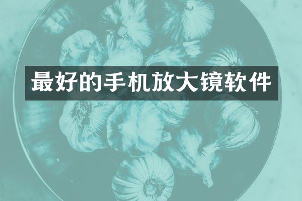 最好的手机放大镜软件