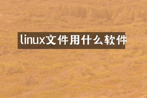 linux文件用什么软件