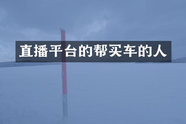 直播平台的帮买车的人