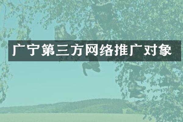 广宁第三方网络推广对象
