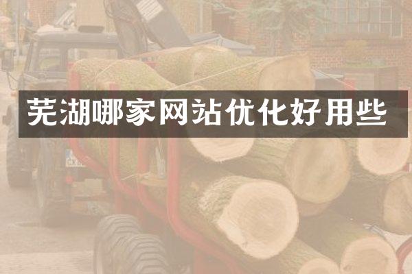 芜湖哪家网站优化好用些