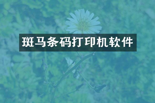 斑马条码打印机软件