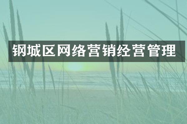 钢城区网络营销经营管理