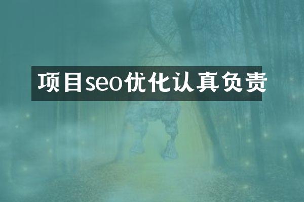 项目seo优化认真负责