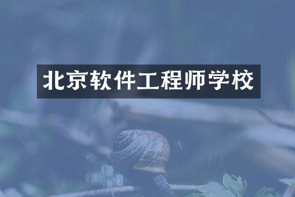 北京软件工程师学校