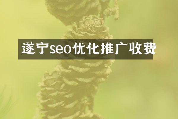遂宁seo优化推广收费