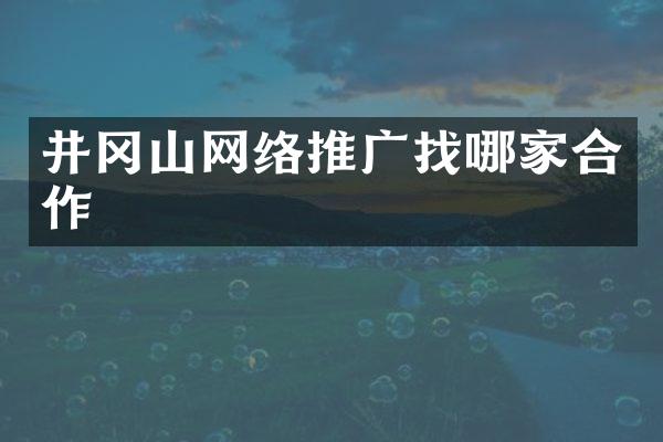 井冈山网络推广找哪家合作