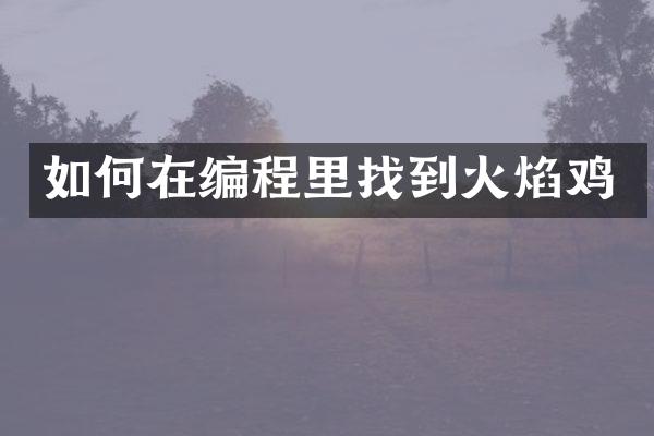 如何在编程里找到火焰鸡