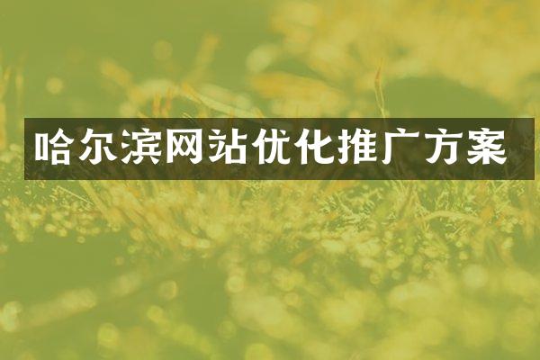哈尔滨网站优化推广方案