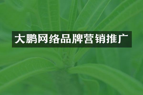 大鹏网络品牌营销推广