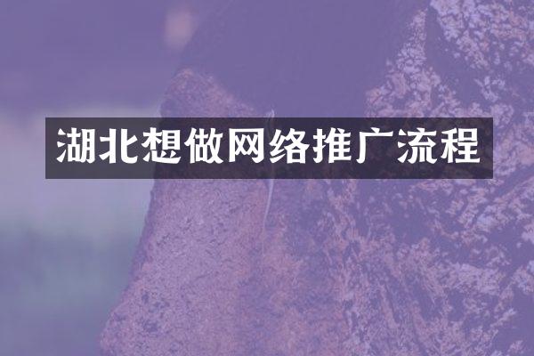 湖北想做网络推广流程