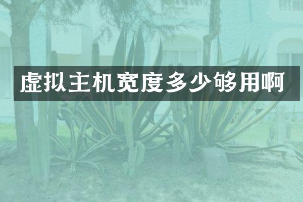 虚拟主机宽度多少够用啊