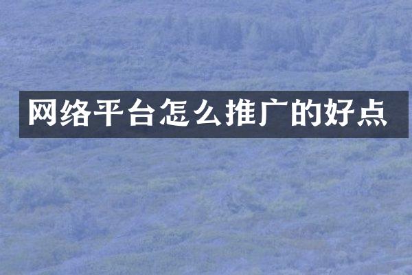 网络平台怎么推广的好点