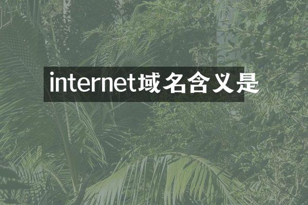 internet域名含义是