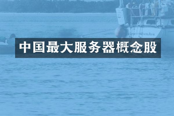 中国最大服务器概念股