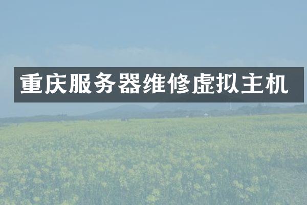 重庆服务器维修虚拟主机