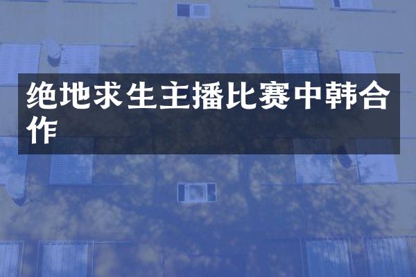 绝地求生主播比赛中韩合作