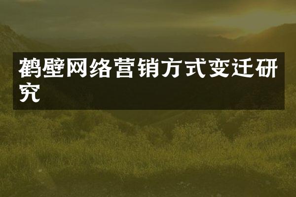 鹤壁网络营销方式变迁研究