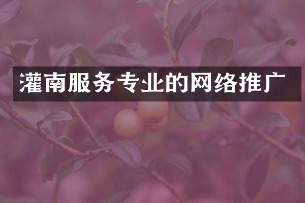 灌南服务专业的网络推广