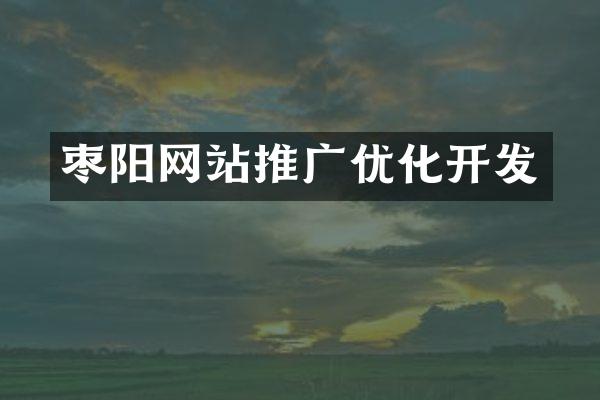 枣阳网站推广优化开发