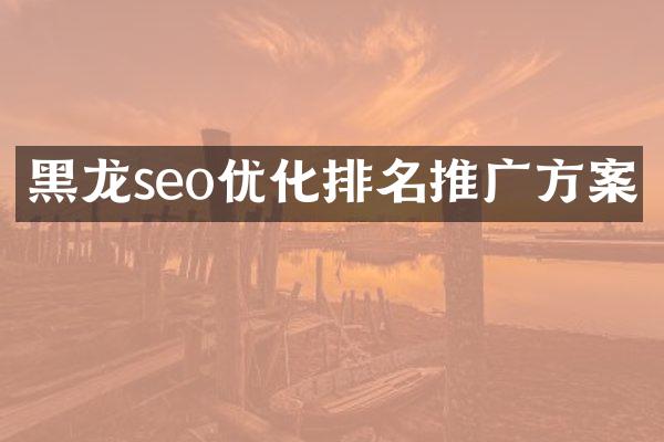 黑龙seo优化排名推广方案