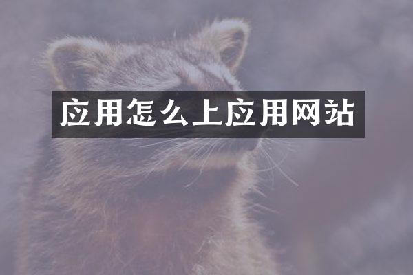 应用怎么上应用网站