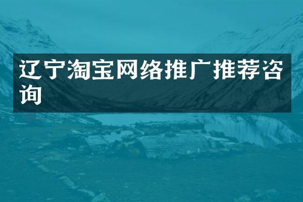 辽宁淘宝网络推广推荐咨询