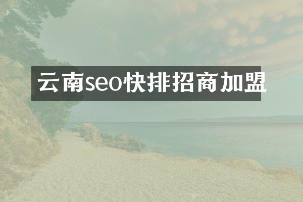 云南seo快排招商加盟