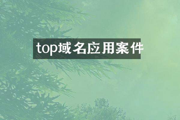 top域名应用案件