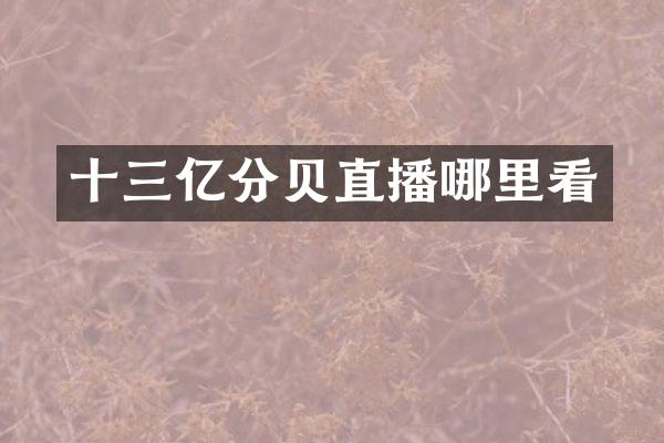 十三亿分贝直播哪里看