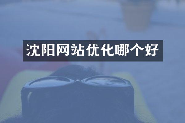 沈阳网站优化哪个好