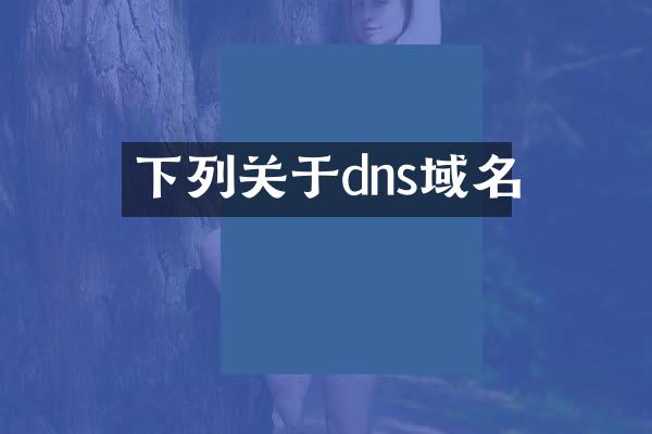 下列关于dns域名