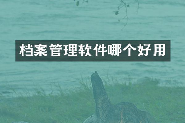 档案管理软件哪个好用