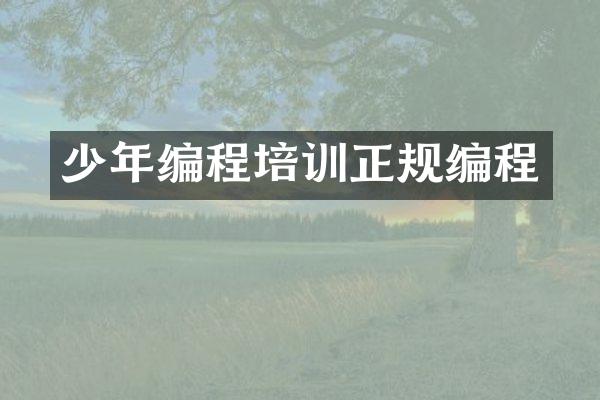 少年编程培训正规编程