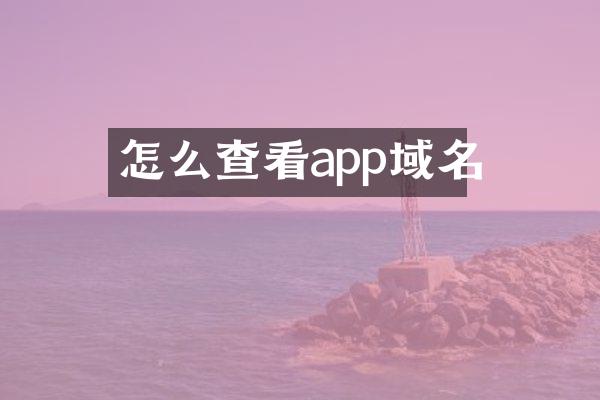 怎么查看app域名
