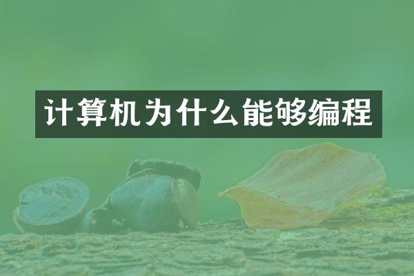 计算机为什么能够编程