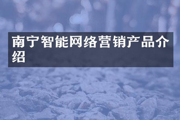 南宁智能网络营销产品介绍